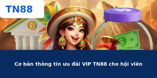 Ưu Đãi VIP TN88 – Đặc Quyền Thượng Lưu Cho Thành Viên